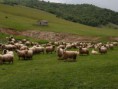 /album/amasya-akino%c4%9flu-kasabasi-foto%c4%9fraflari/a944291-456689251087288-622815108-n-jpg/